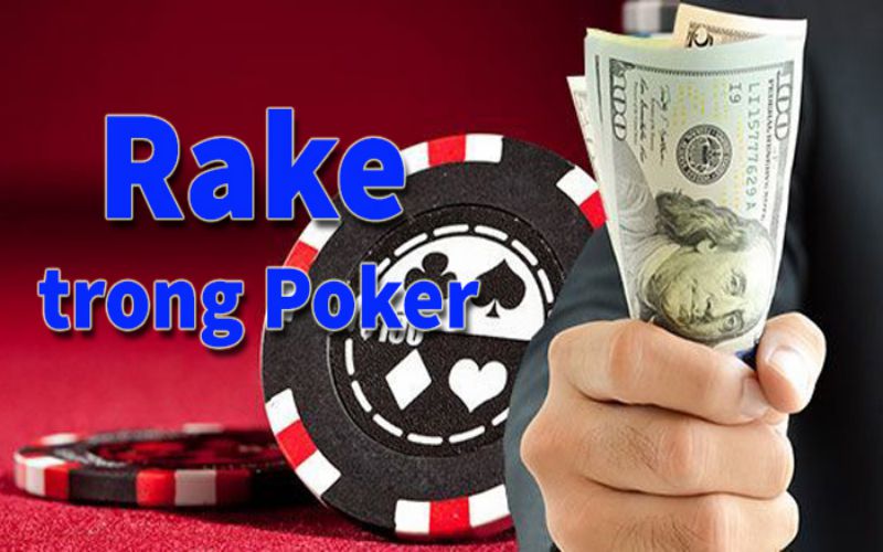 Tìm hiểu tầm quan trọng của Rake khi chơi Poker tại Thabet